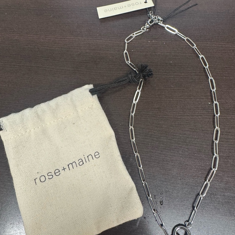 Rose & Maine 16” Silver Tone Paper Clip Necklace with Carabiner NEW - Picture 3 of 4
